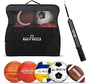 Complete Sports Ball Set - Outdoor Sports Balls in Carry Bag - Sport Balls Kit with Pump for Adults and Kids - Branded Soccer Ball, Basketball, Volleyball, American Football, Dodgeball Playground Ball…